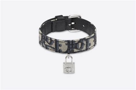 dior dog outfit|expensive collars for dogs.